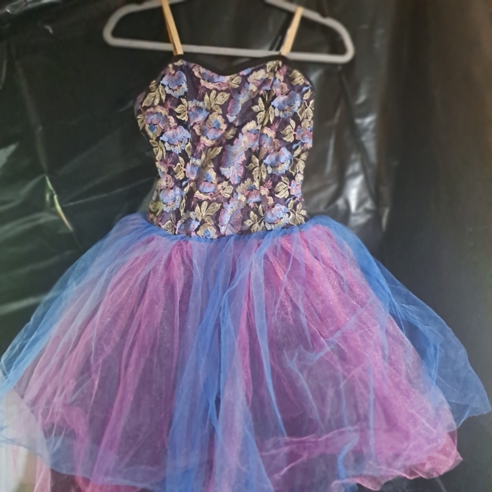 NWOT Ballet Dance Tutu Costume